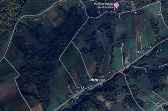 Dom wraz z działką budowlaną na Zalesiu